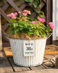 Potted plant with pink flowers in a metal bucket on a wooden deck