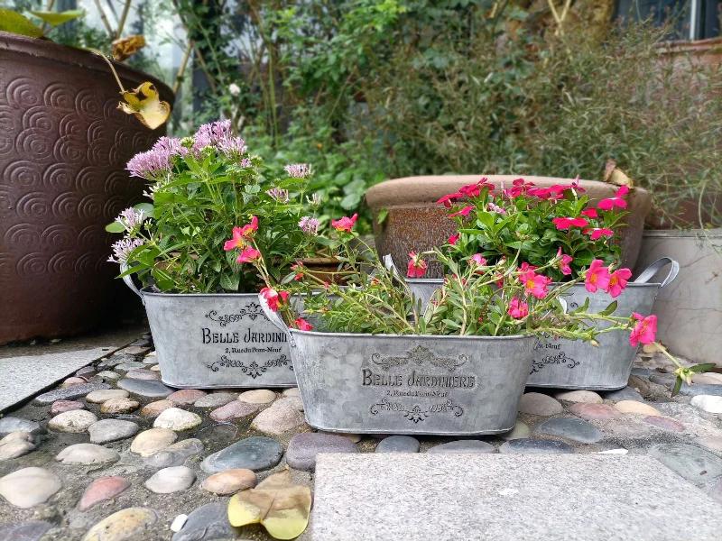 French Vintage Galvanized Oval Planter – Rustic "Belle Jardinière" Metal Garden Tub with Handles (3 Sizes) - The Curated Shop