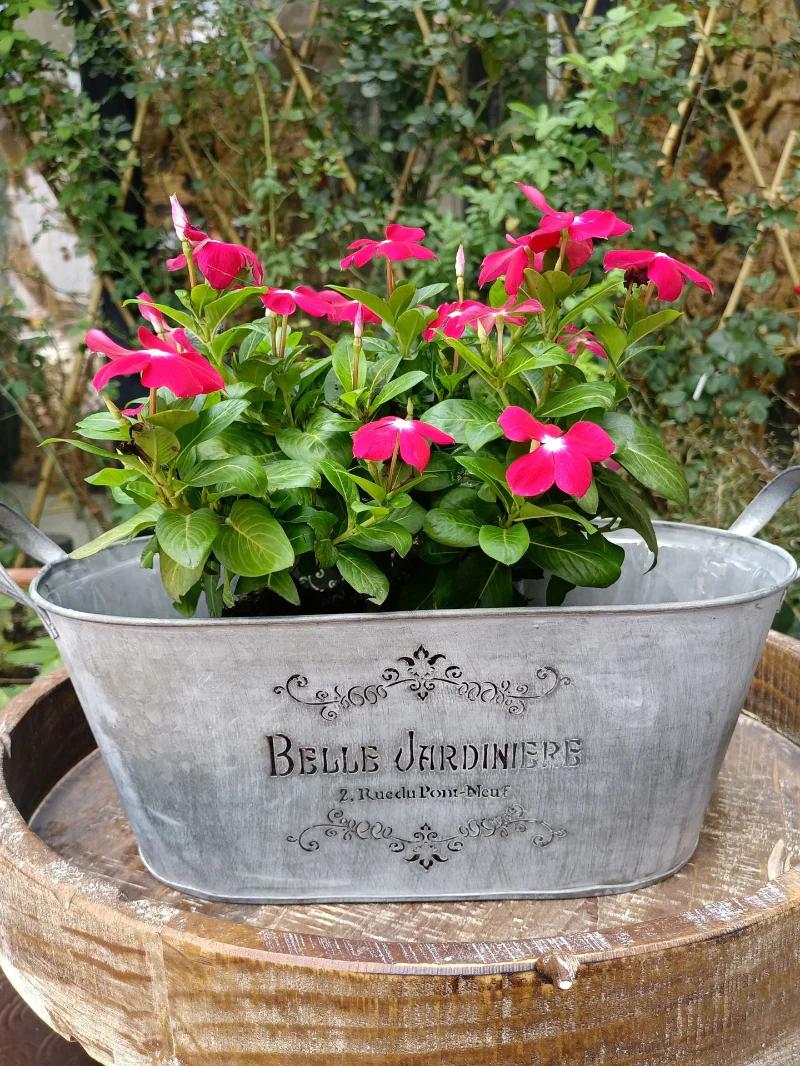 Vintage Oval Metal Planter with Handles – Rustic Farmhouse Garden Flower Pot