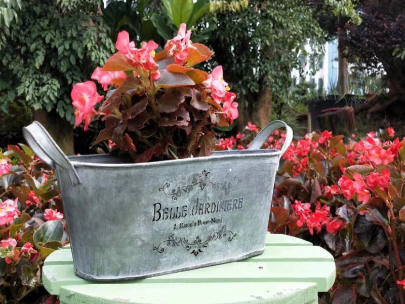 Featuring embossed lettering and a distressed iron finish, this piece blends perfectly into rustic, cottage, and modern farmhouse aesthetics.
