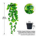 Monstera-Blatt – Grün / Schwarzer Topf