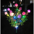 Gardenia pink, colorful light