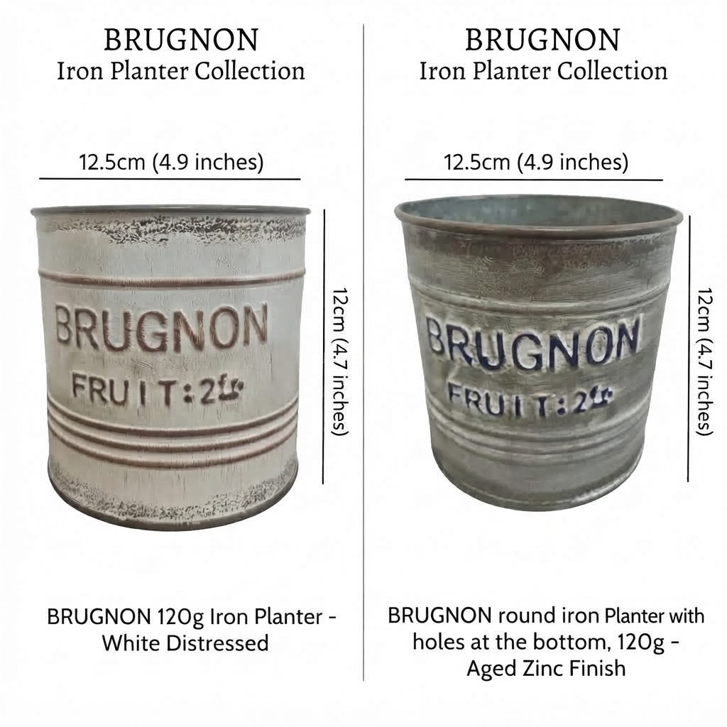 Vintage French Country "Brugnon Fruit" Metal Planters (Set of 2)