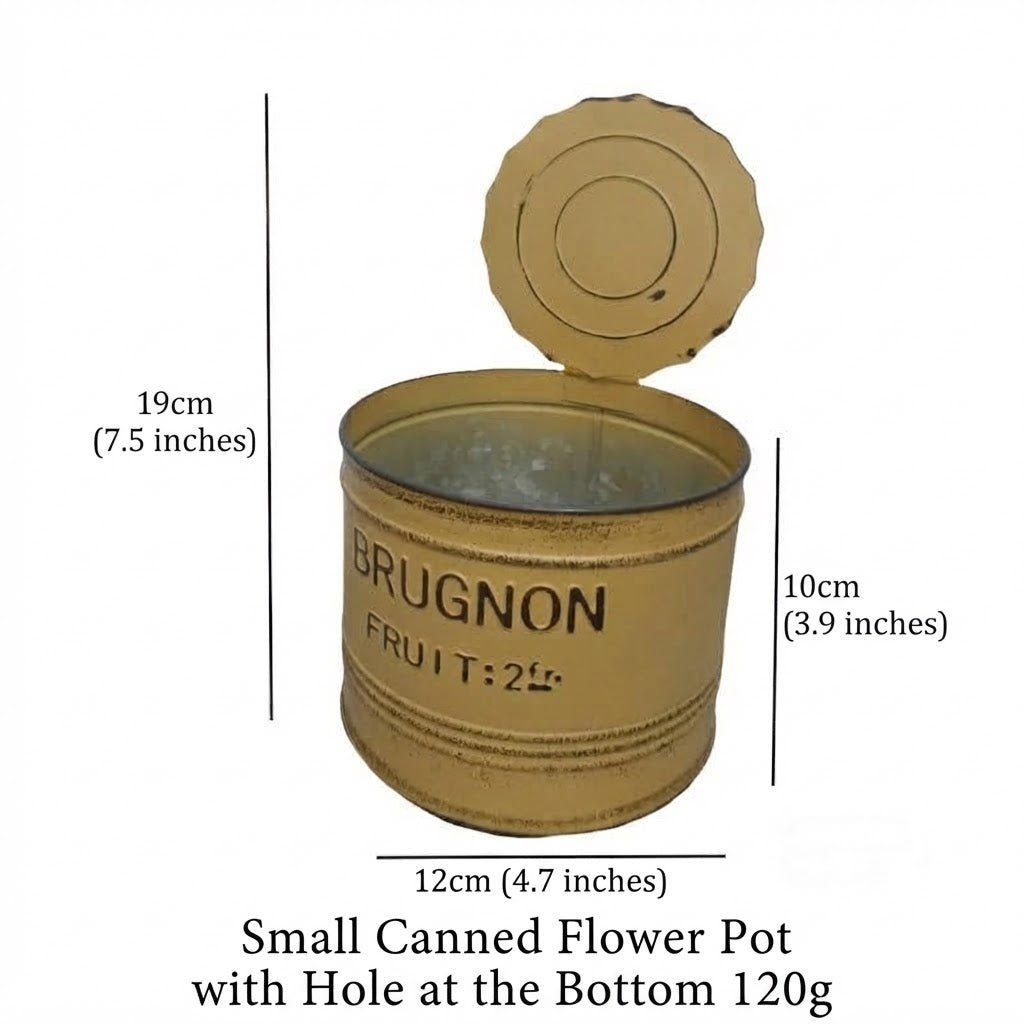 Vintage French Fruit Tin Can Planter Set (Set of 2) – Rustic Metal Garden Pots
