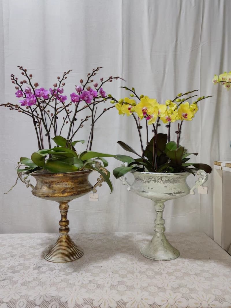 Pair of pedestal planter urns, distressed antique-gold and light-green with scroll handles